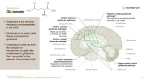 Schizophrenia - Neurobiology and Aetiology - slide 20